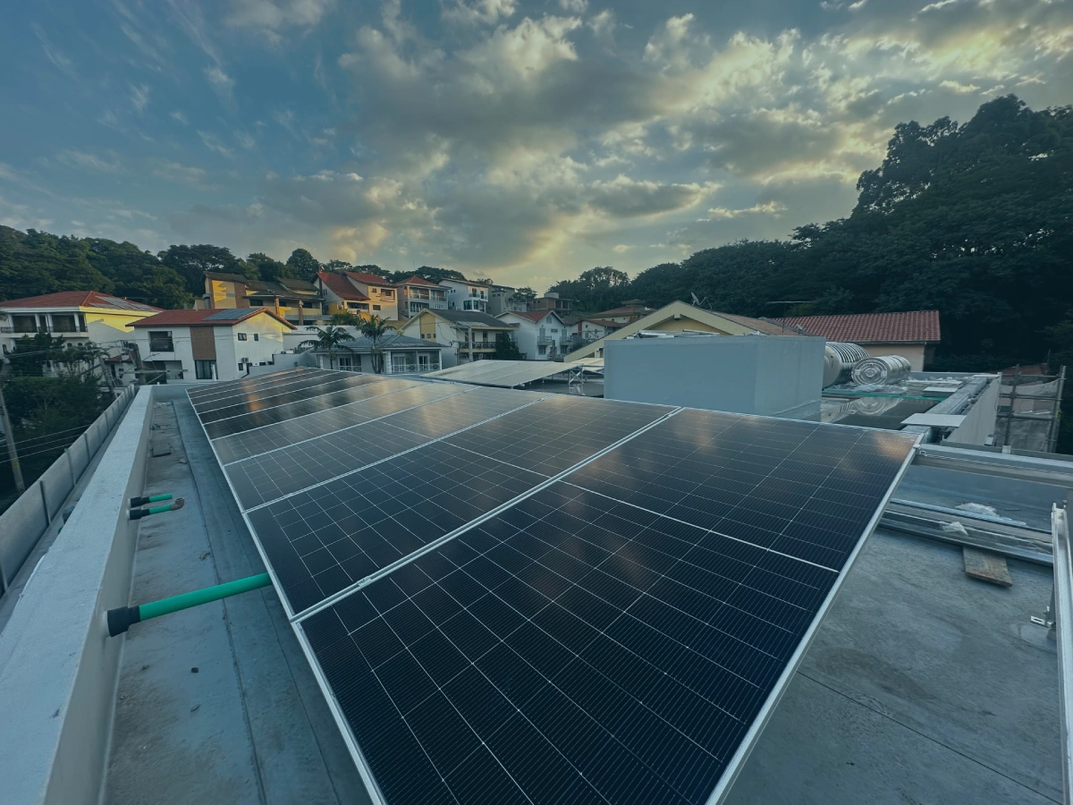 Sustentabilidade e natureza